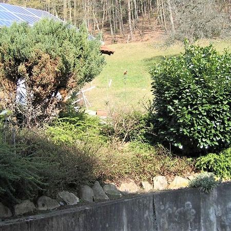 Ferienwohnung Burgblick Seelbach  Eksteriør billede