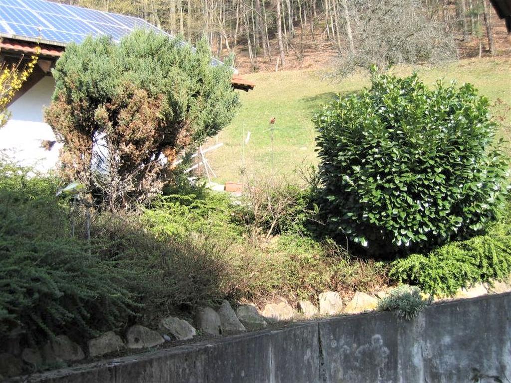 Ferienwohnung Burgblick Seelbach  Eksteriør billede